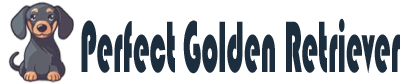 Perfect Golden Retrievers